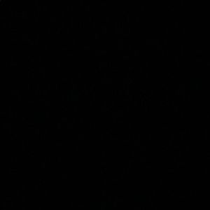 Meet your Posher, Darrin